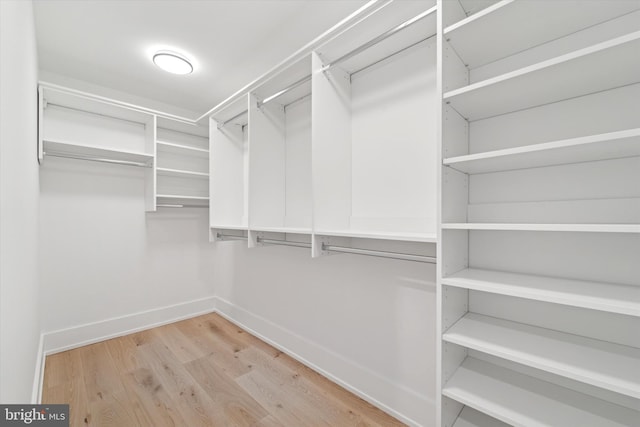 walk in closet with light wood finished floors