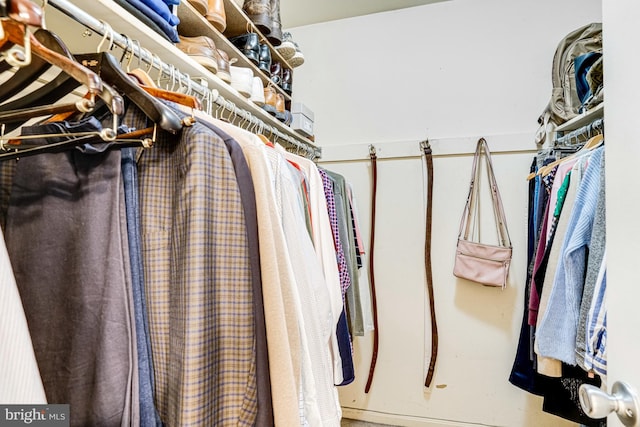 view of spacious closet