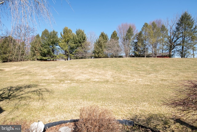 view of yard featuring a rural view