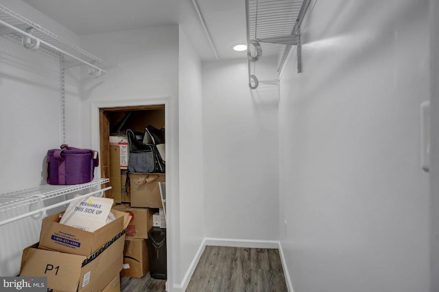 walk in closet with wood finished floors