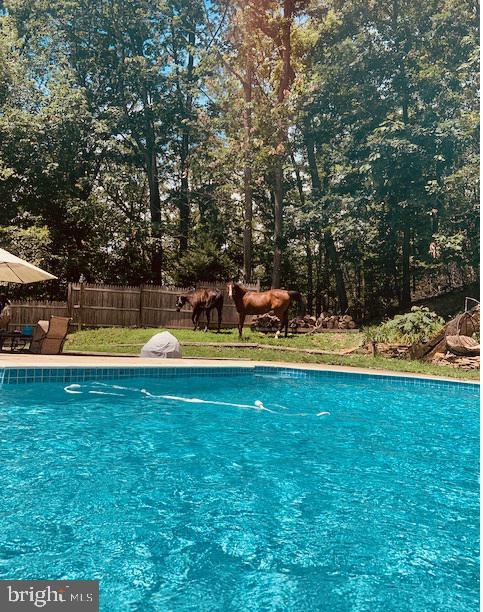 view of swimming pool with a fenced in pool and fence