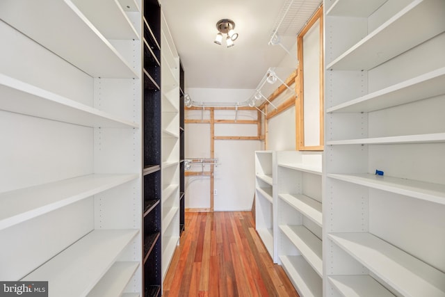 walk in closet featuring wood finished floors