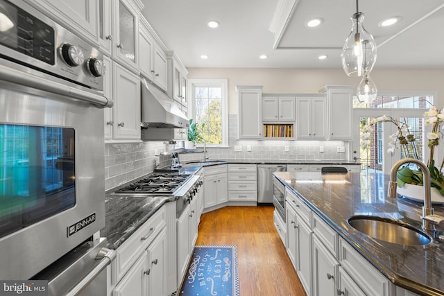 kitchen with under cabinet range hood, stainless steel appliances, light wood-style floors, and a sink