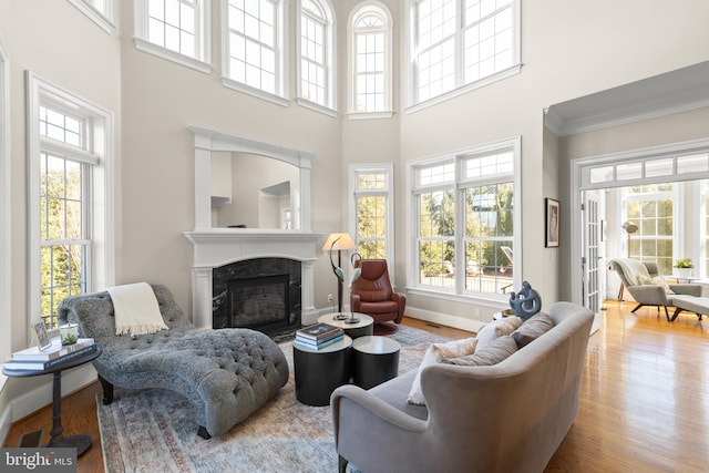 living area featuring wood finished floors, plenty of natural light, ornamental molding, and a high end fireplace