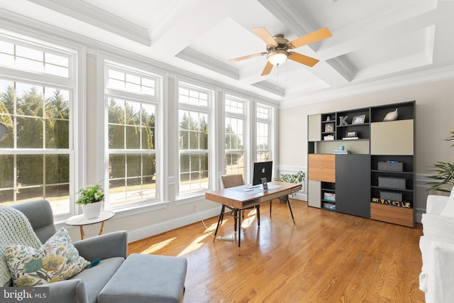 office featuring light wood-type flooring, beam ceiling, ornamental molding, coffered ceiling, and ceiling fan