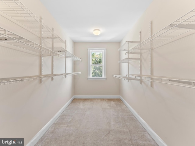 spacious closet with carpet