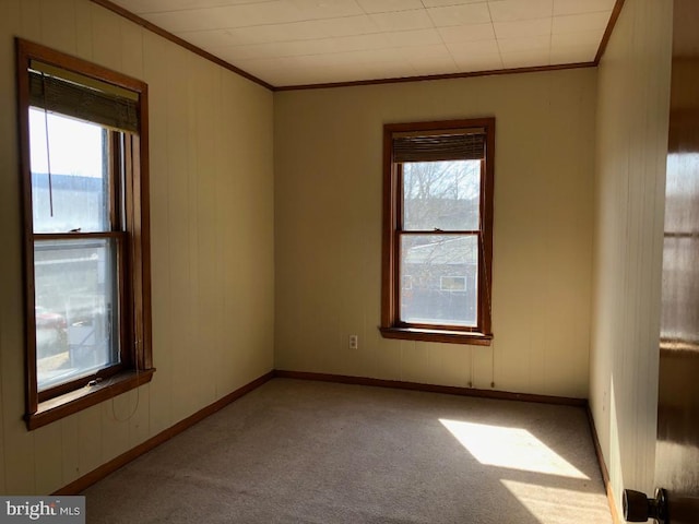 carpeted spare room featuring a wealth of natural light, baseboards, and ornamental molding