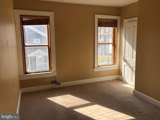 spare room featuring baseboards and carpet flooring