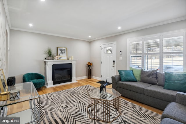 living area with a glass covered fireplace, crown molding, and light wood-type flooring