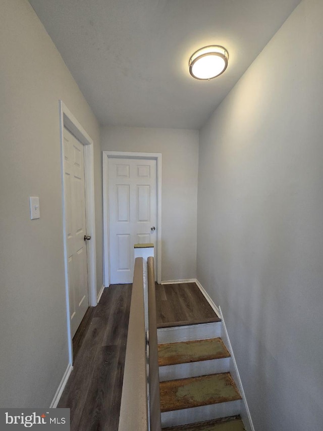 stairs with baseboards and wood finished floors