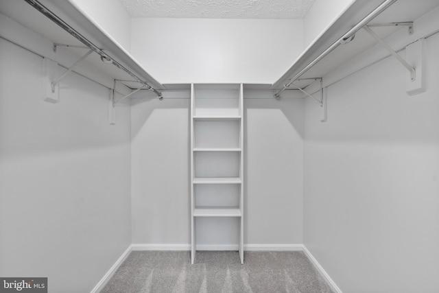 walk in closet featuring carpet floors