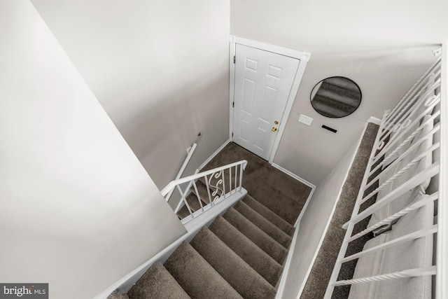 stairway with baseboards and carpet