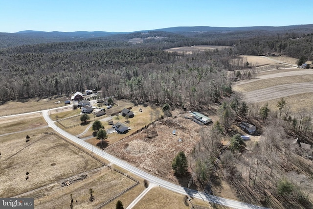 bird's eye view featuring a mountain view, a rural view, and a forest view