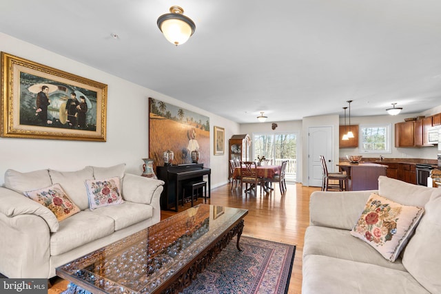 living room featuring wood finished floors