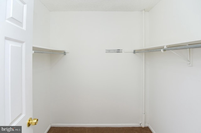 walk in closet with carpet