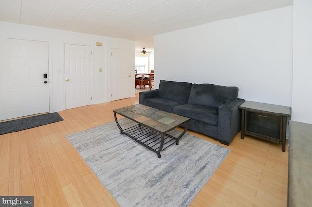 living area featuring wood finished floors