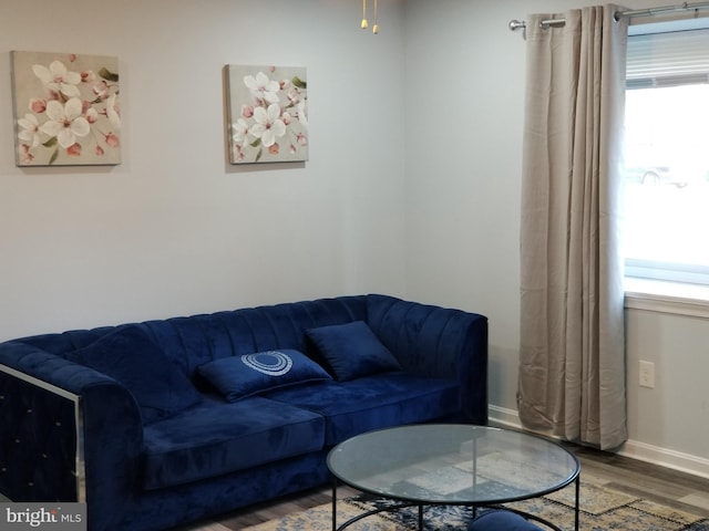 living room with baseboards and wood finished floors