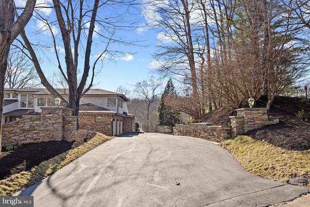 view of street with driveway