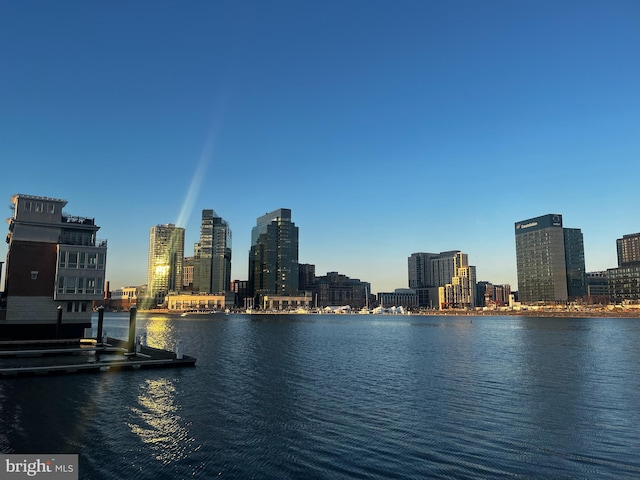 property view of water featuring a city view