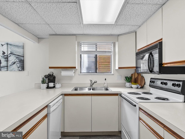 kitchen with white appliances, light countertops, a drop ceiling, and a sink