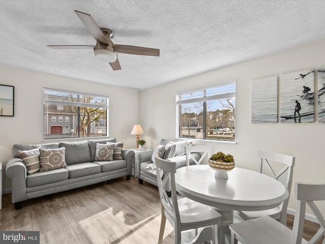 dining room featuring ceiling fan, wood finished floors, and a healthy amount of sunlight