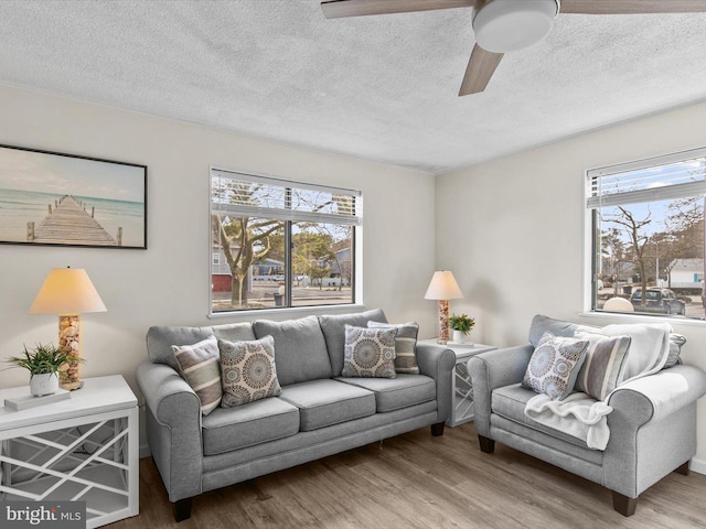 living room featuring a textured ceiling, wood finished floors, and ceiling fan