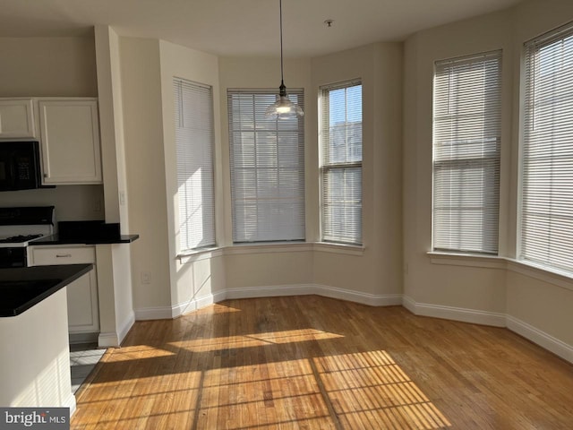 unfurnished dining area with baseboards and light wood-style floors