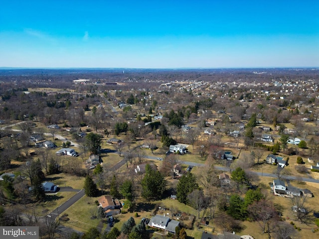 bird's eye view