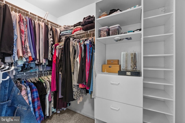 spacious closet featuring carpet