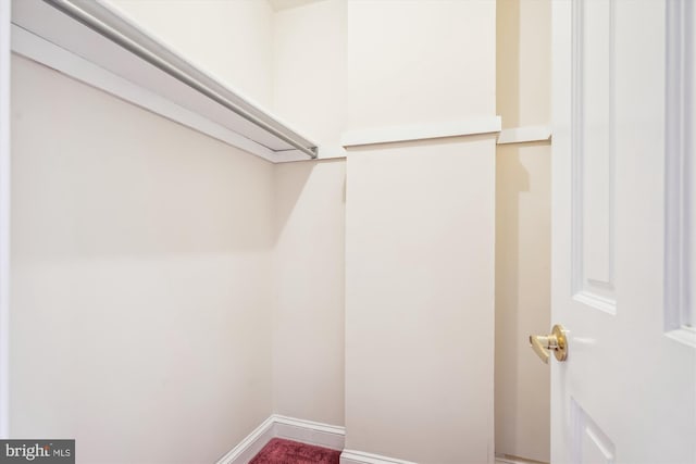 view of spacious closet