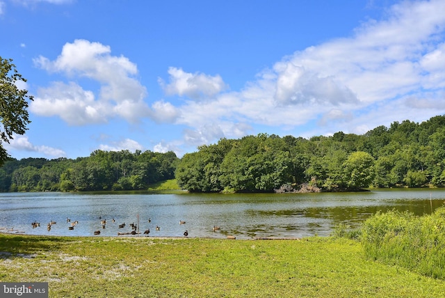 water view featuring a forest view