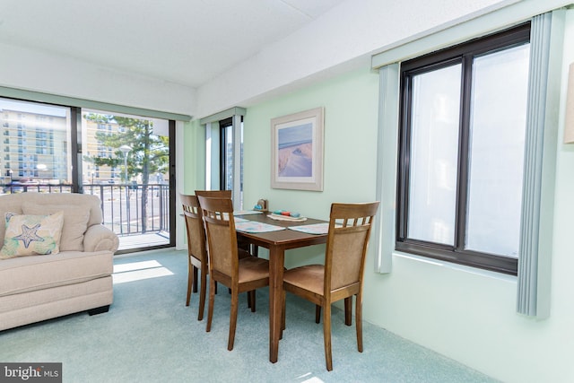 dining room with carpet floors