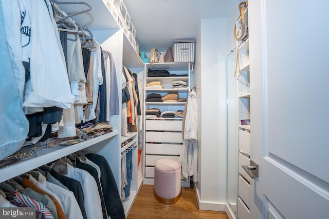 spacious closet featuring wood finished floors