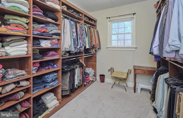 walk in closet with carpet