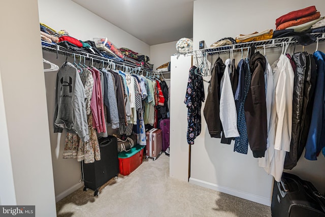 spacious closet featuring carpet