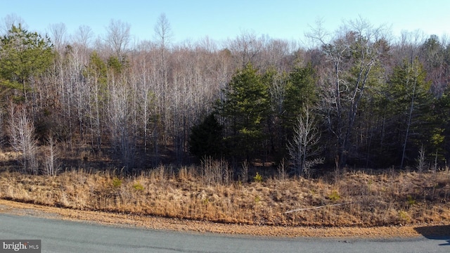 Listing photo 2 for LOT36 Bybee Estates Ln, Palmyra VA 22963