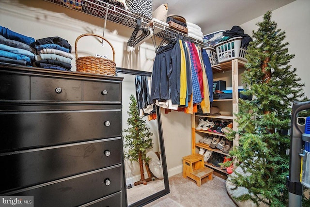 spacious closet featuring carpet flooring