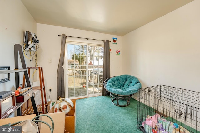 sitting room featuring carpet flooring