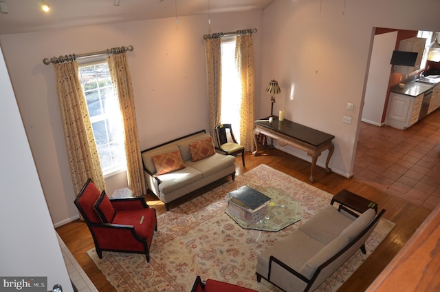 living area featuring a wealth of natural light, baseboards, and wood finished floors