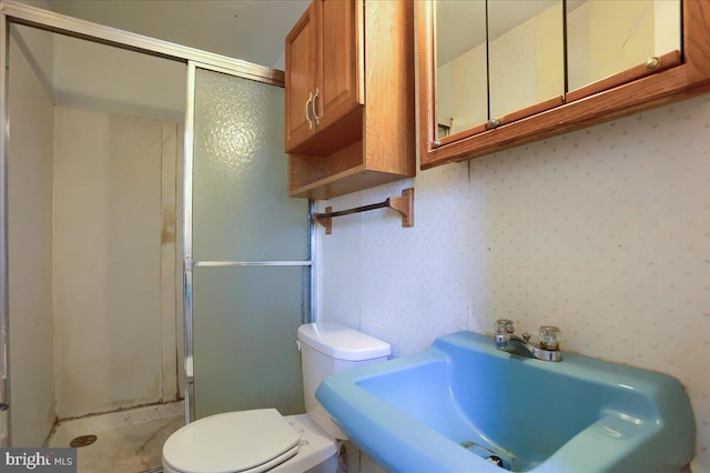 bathroom featuring a shower stall, toilet, and a sink