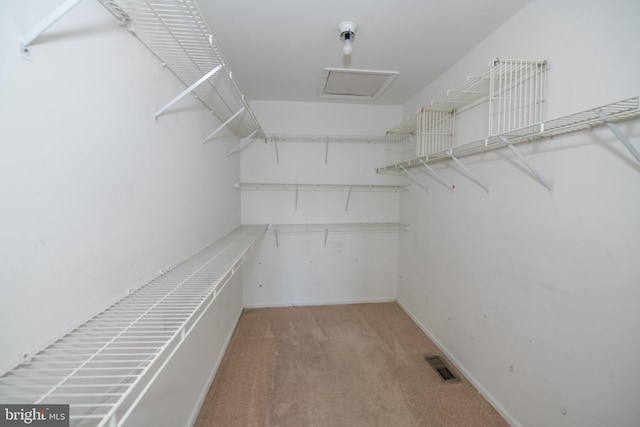 spacious closet featuring light carpet, visible vents, and attic access