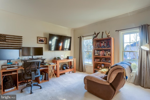 carpeted home office with crown molding