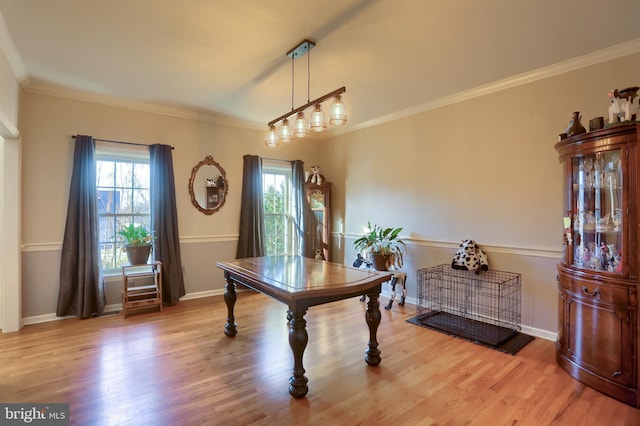 interior space featuring crown molding, baseboards, and wood finished floors