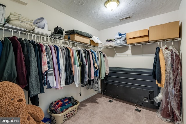 spacious closet with visible vents and carpet floors