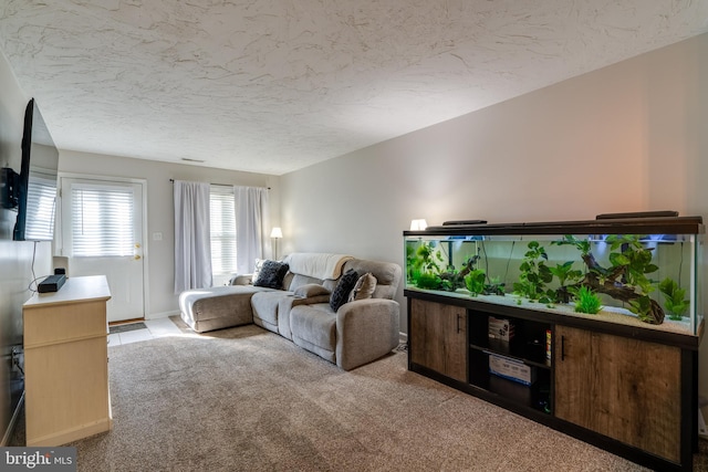 carpeted living area featuring baseboards and a textured ceiling