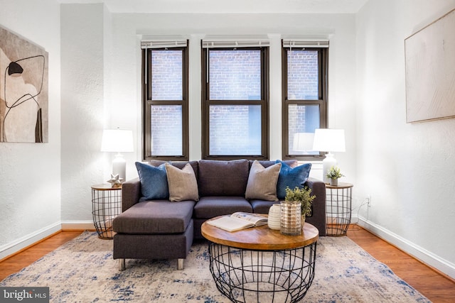 living room featuring baseboards, a healthy amount of sunlight, and wood finished floors