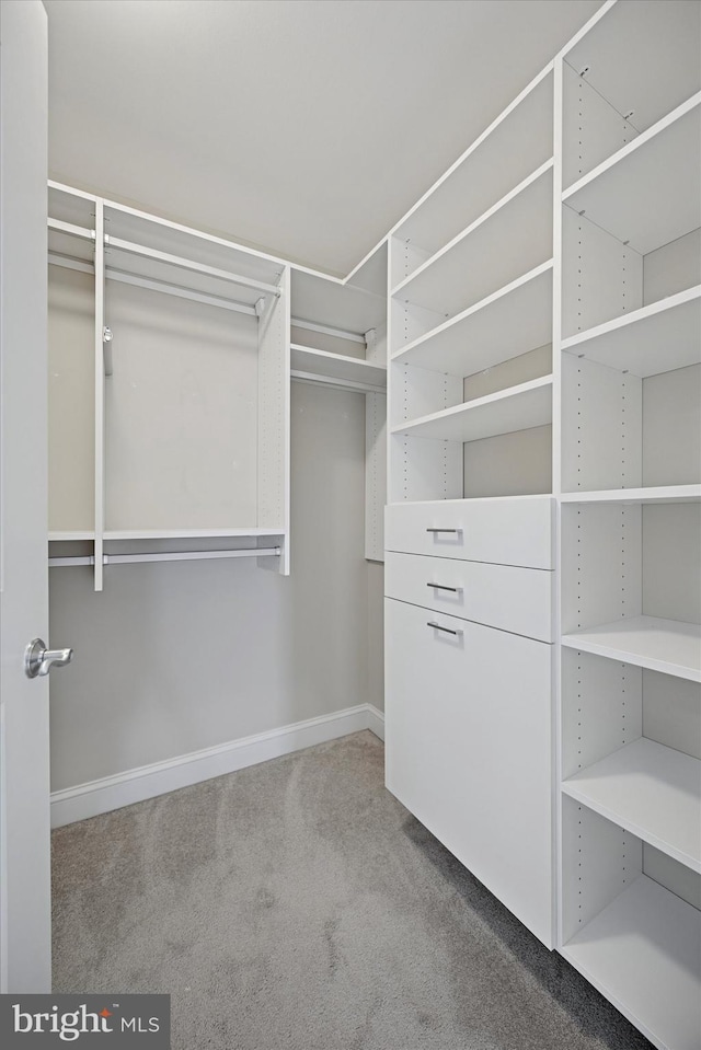 spacious closet with carpet flooring