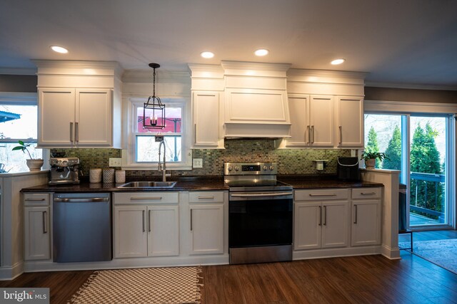 kitchen featuring dishwasher, dark wood-style floors, a sink, and stainless steel range with electric cooktop