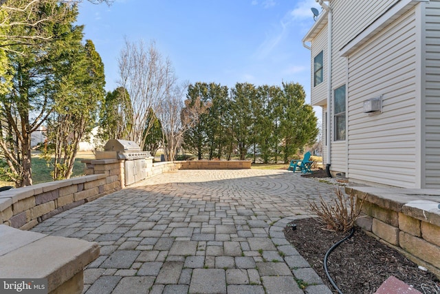 view of patio with an outdoor kitchen and a grill