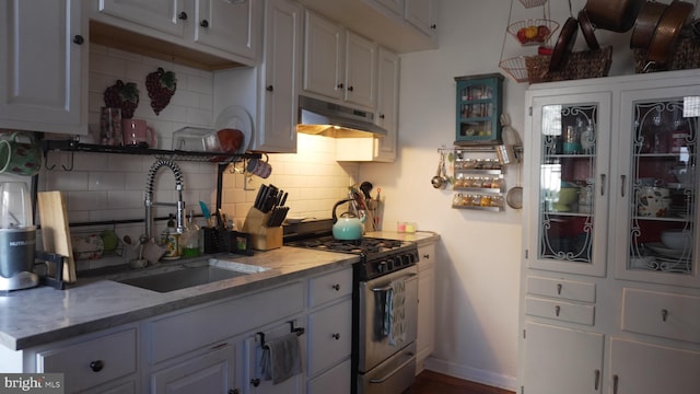 kitchen featuring baseboards, a sink, under cabinet range hood, stainless steel gas stove, and tasteful backsplash